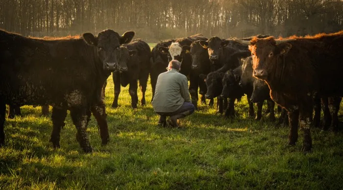 La ferme de la voie verte