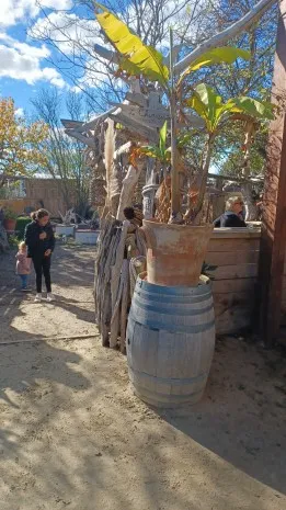 chez pierre ferme de la petite prade Saint Laurent d'aigouze