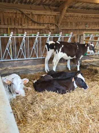 Ferme du Bruehl