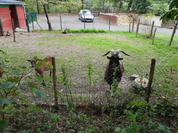 Ferme des basses Gayeulles
