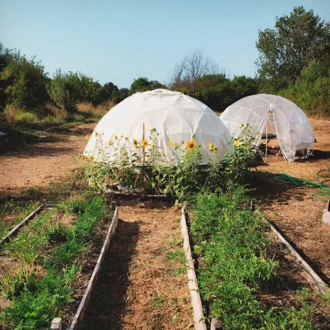 Carotte et Cocotte microferme participative
