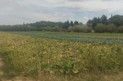 La Ferme Dagatti