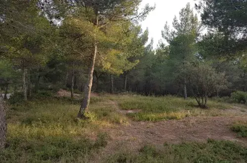 Aix en Lama