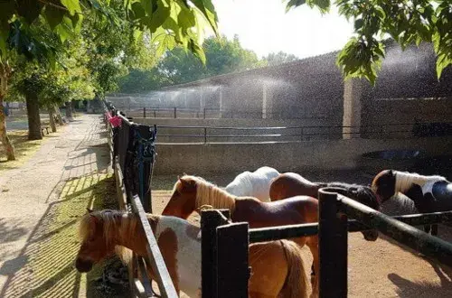 Ferme Velauxienne