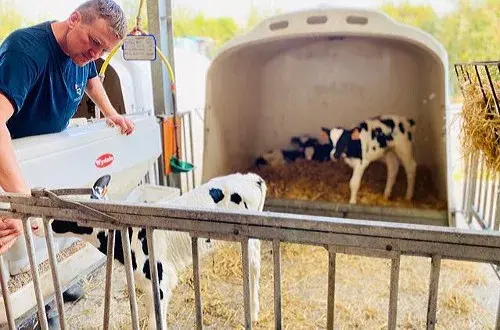 La Ferme de Ju