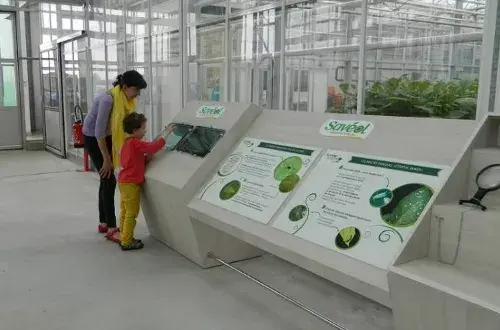La ferme aux insectes
