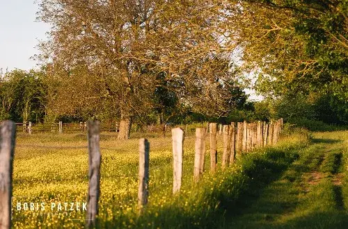 La Ferme du Petit Marais