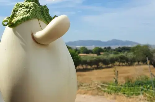 Terre de Mars  Le Marché