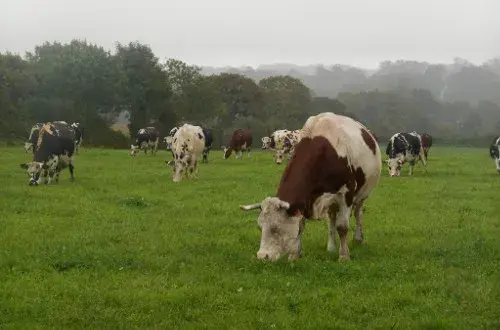 La Ferme de La Forge