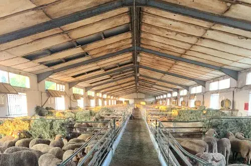 La Ferme Azzoug