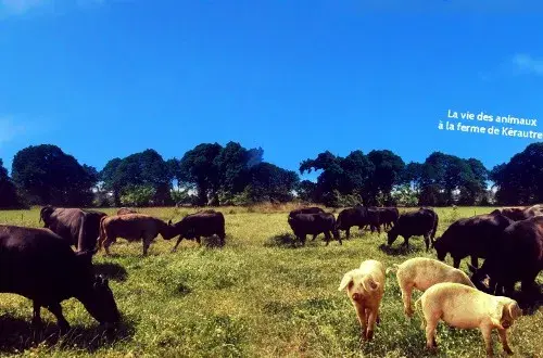 La Ferme De Kérautret