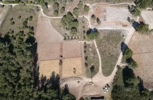 Aïoli Caganis