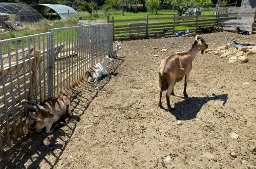 La ferme d'Aurons
