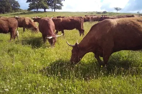 La Ferme de La Vallée