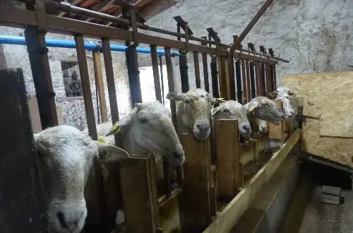 Ferme de la Chancelière