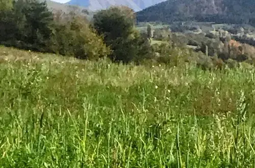 La Belette