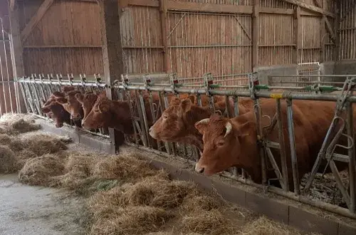 Ferme du Fol'Epi