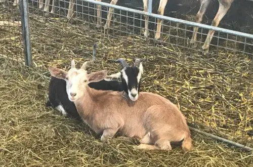 la ferme des Claux