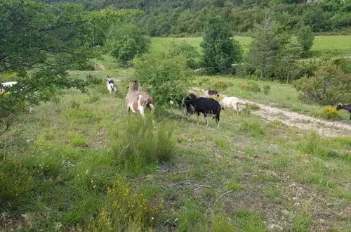 Ferme de la Colle