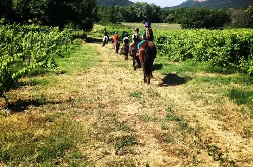 La ferme d'idefix