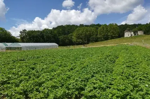 La Ferme d'Uhaldia