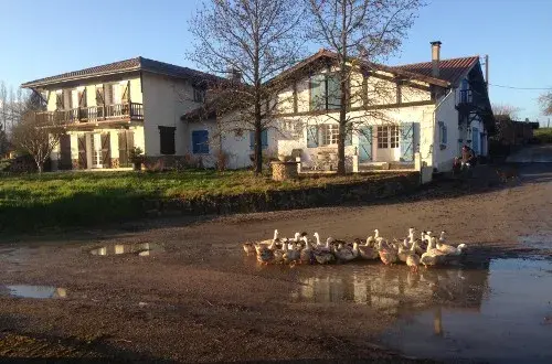 earl ferme Lahourie