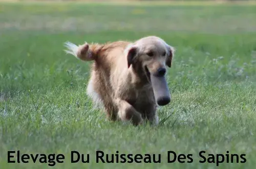 La ferme du Bessy