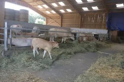 Ferme d'élevage de Grand' Maison