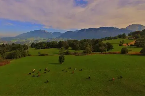 La Ferme du Chêne