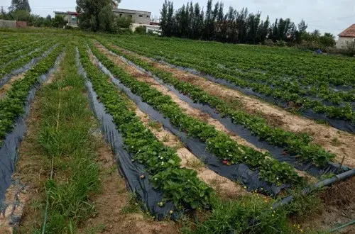 Groupement Agriculteurs Biologiques Région Ile de France